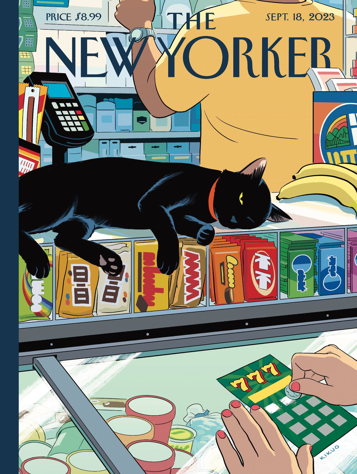 Bodega Cat - 1000 Piece Cat Jigsaw Puzzle