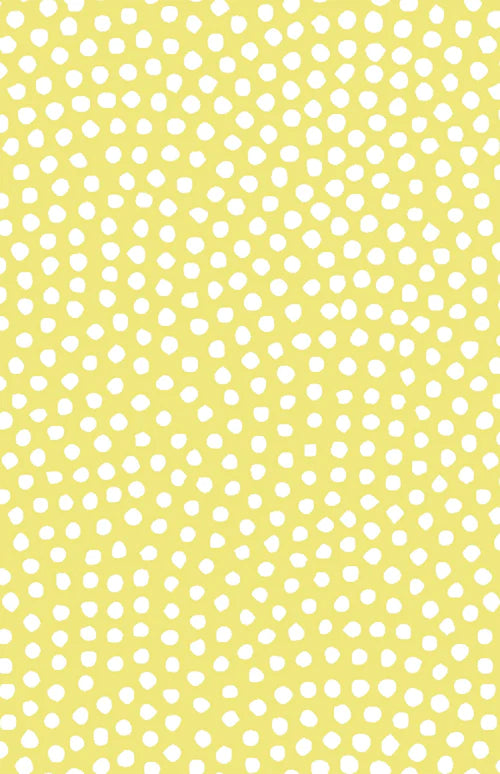 Echo Tank - Tangled Dots