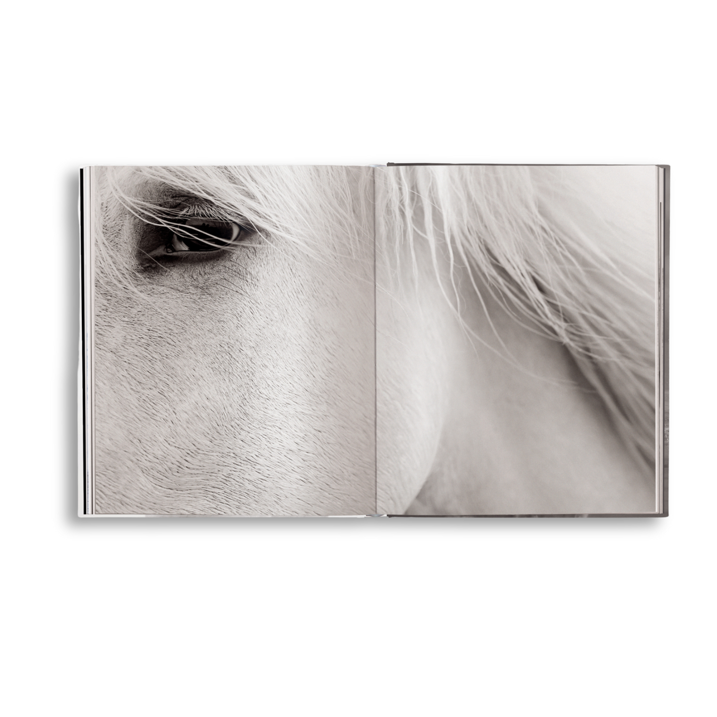 gestalten & teNeues - Untamed Spirits: Horses From Around the World