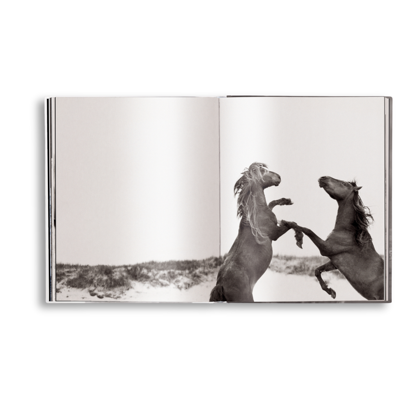 gestalten & teNeues - Untamed Spirits: Horses From Around the World