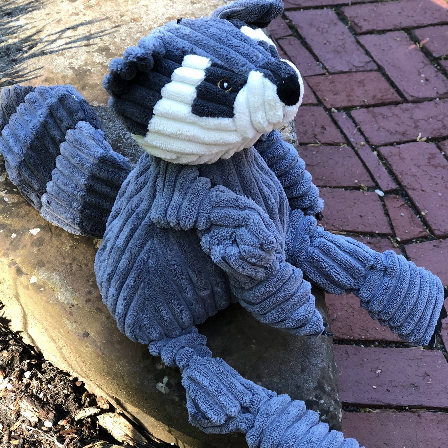 Reggie Raccoon Knottie® Plush Dog Toy: Small