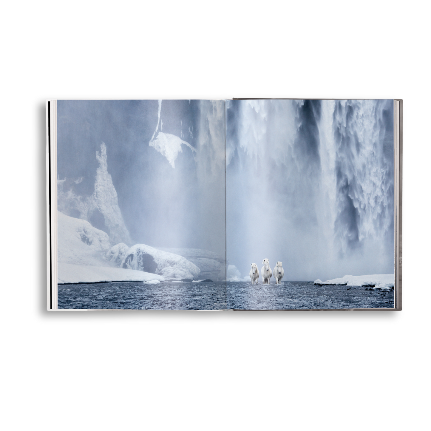 gestalten & teNeues - Untamed Spirits: Horses From Around the World