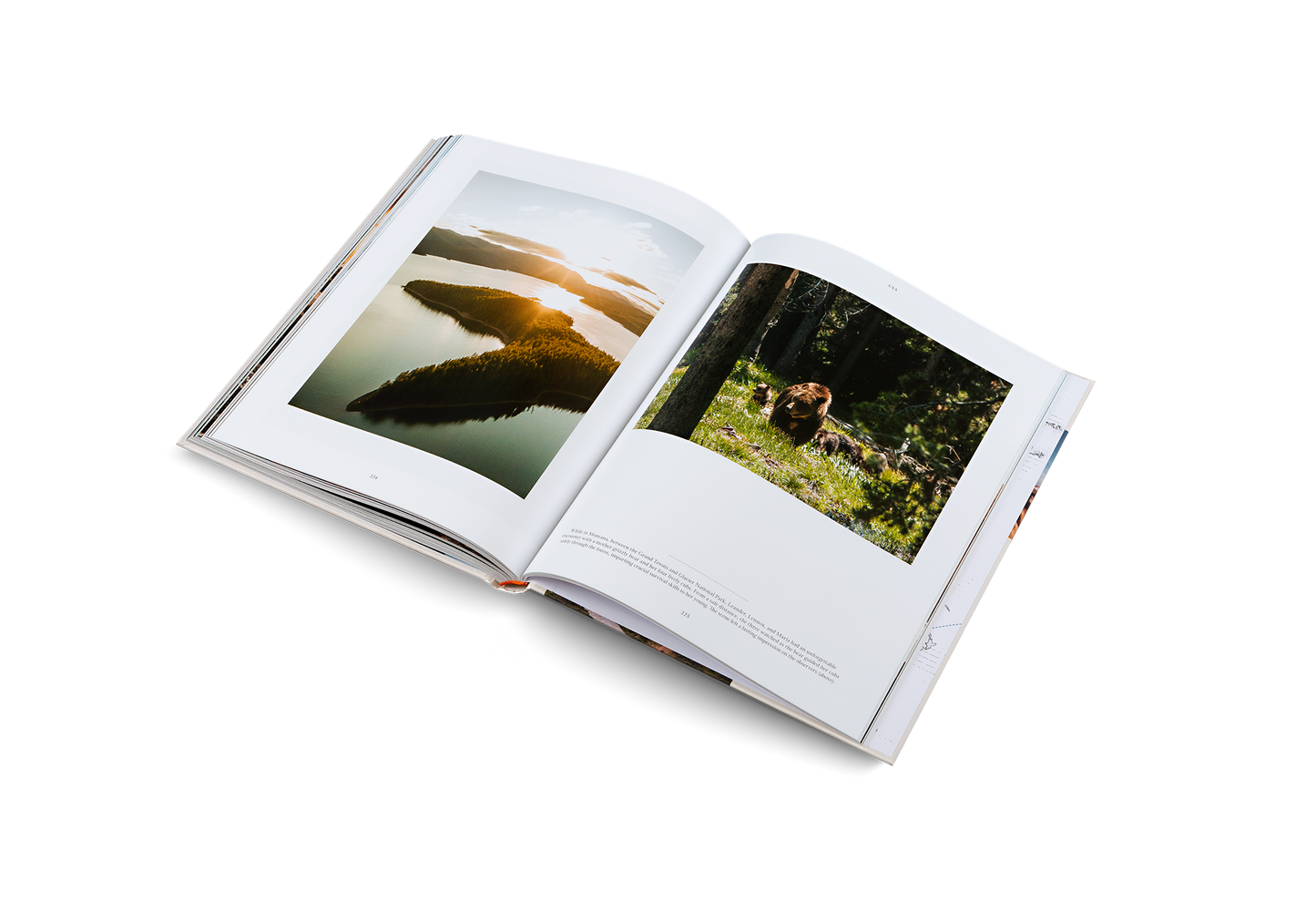 gestalten & teNeues - Life on the Road: Around the World on Four Wheels