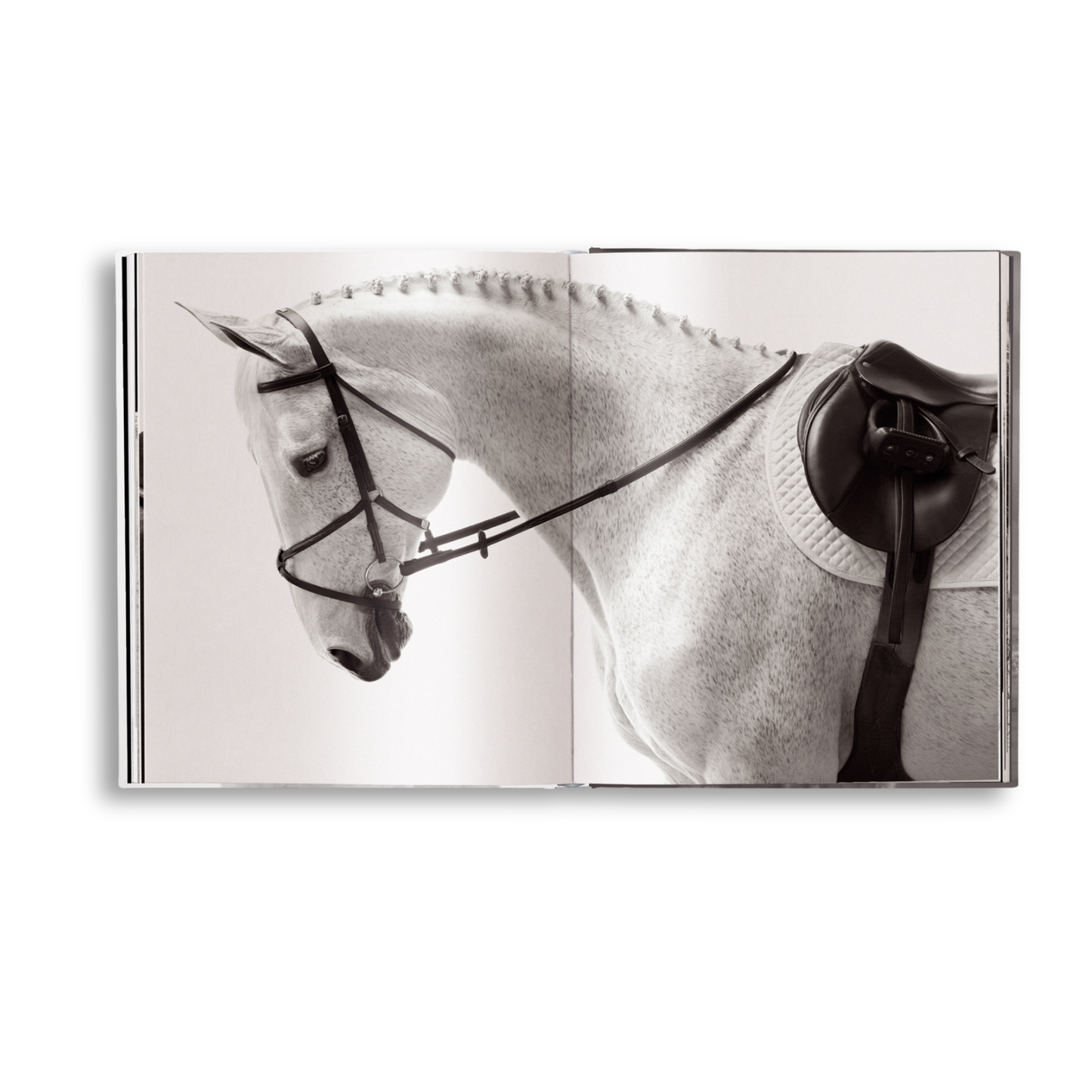 gestalten & teNeues - Untamed Spirits: Horses From Around the World