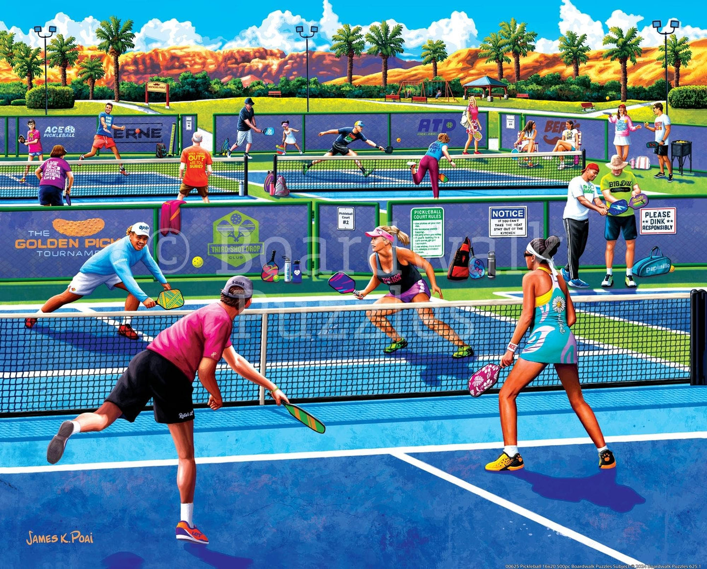 Boardwalk Puzzle Company - Pickleball - 500 Piece