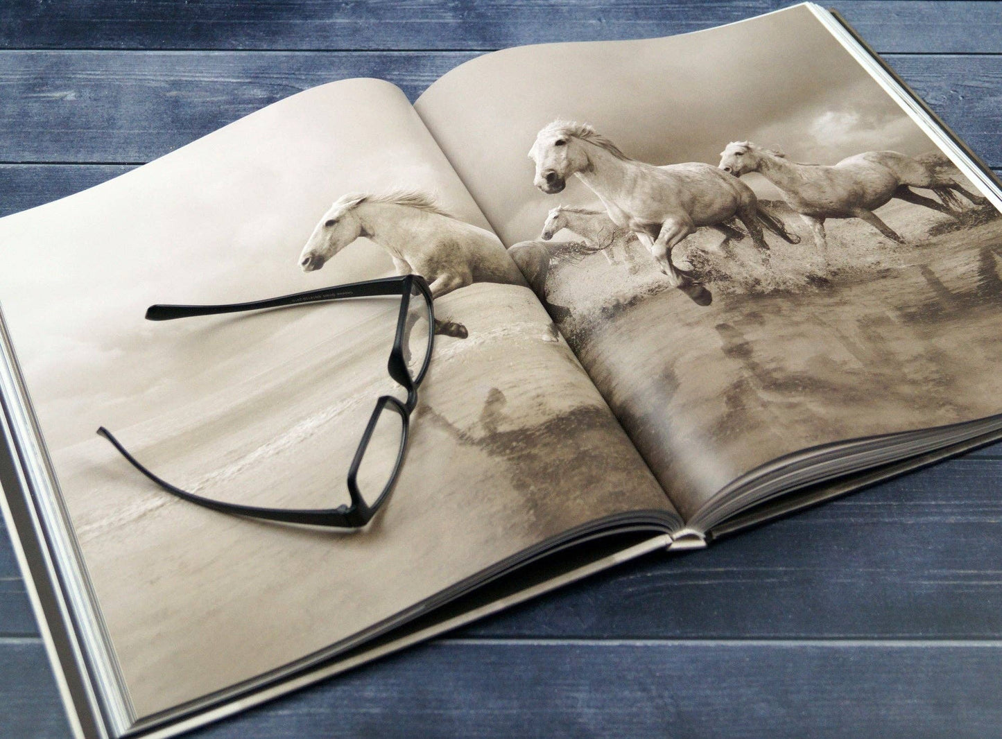 gestalten & teNeues - Untamed Spirits: Horses From Around the World