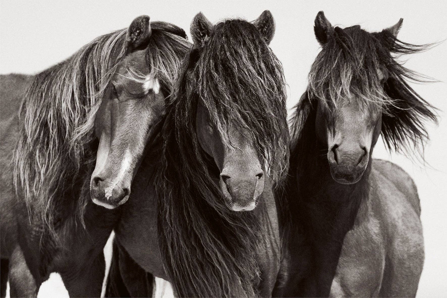 gestalten & teNeues - Untamed Spirits: Horses From Around the World