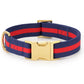 Striped Webbing Dog Collar
