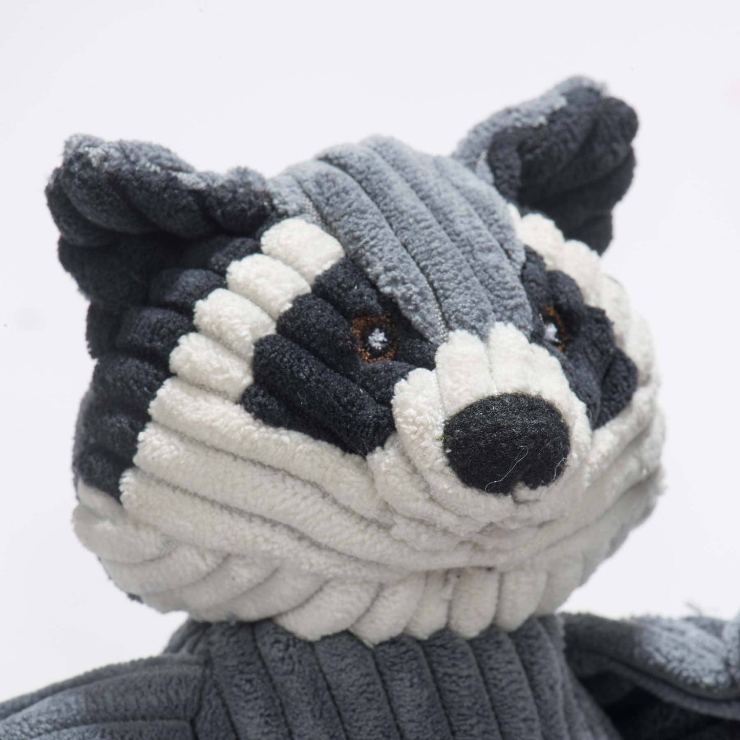 Reggie Raccoon Knottie® Plush Dog Toy: Small