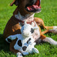 Dottie Cow Knottie® Plush Dog Toy: Small