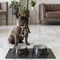 Haute Diggity Dog - Black Checker Chewy Vuiton Bowl