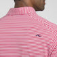 Men's Lee Stripe Polo