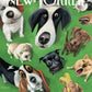 Summer Treat - 500 Piece Jigsaw Puzzle
