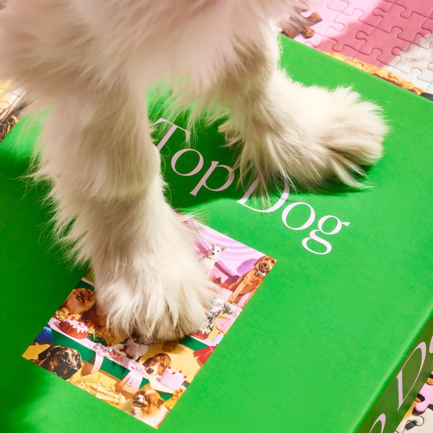 Top Dog Puzzle (1000 Piece)
