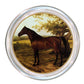 Marye-Kelley -Bay Horse Facing Left Coaster