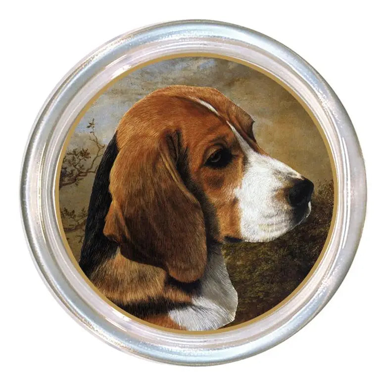Beagle Coaster