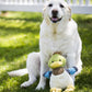 Dilly Duck Knottie® Plush Dog Toy: Small