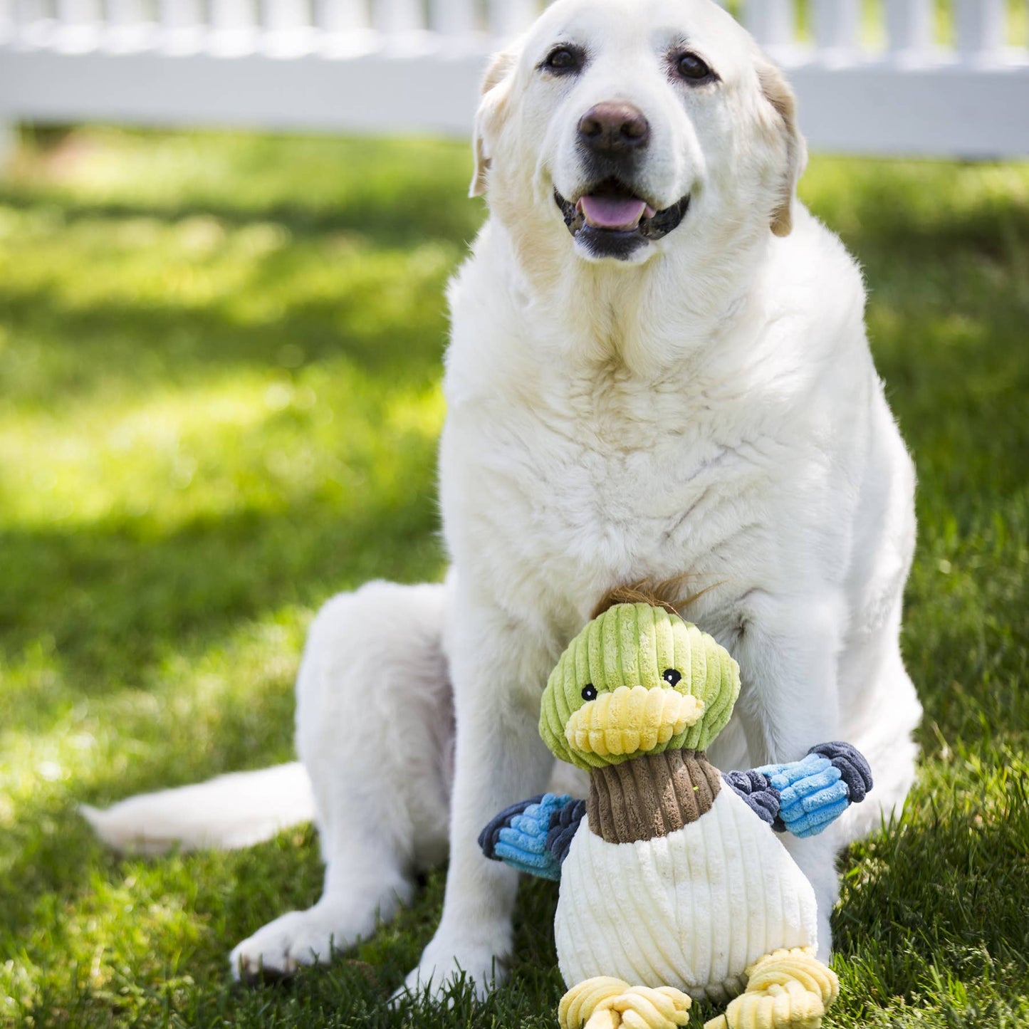 Dilly Duck Knottie® Plush Dog Toy: Small