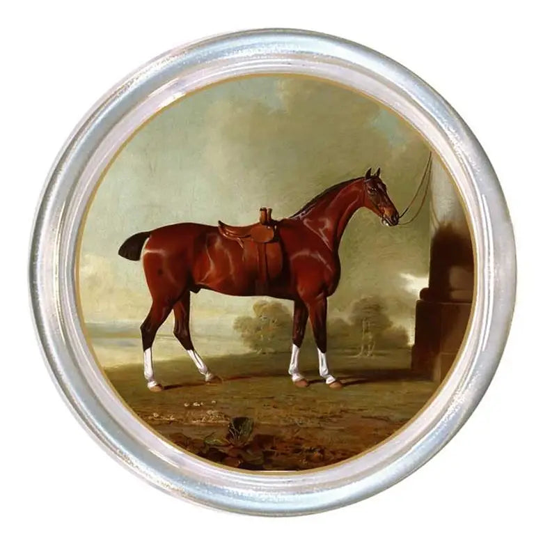 Chestnut Hunter Coaster