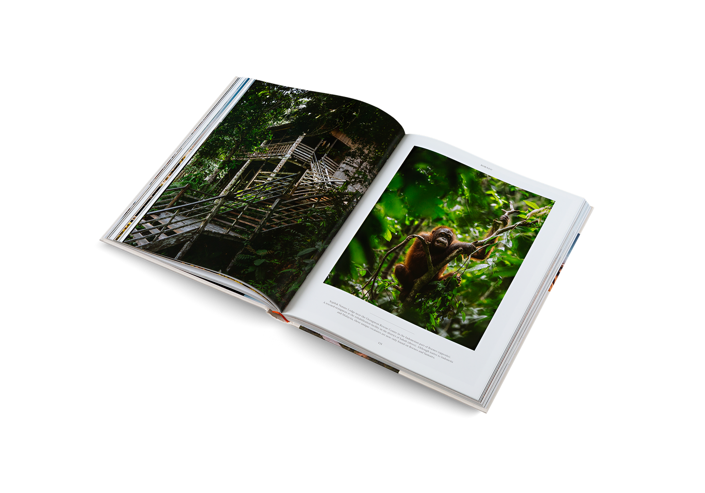 gestalten & teNeues - Life on the Road: Around the World on Four Wheels