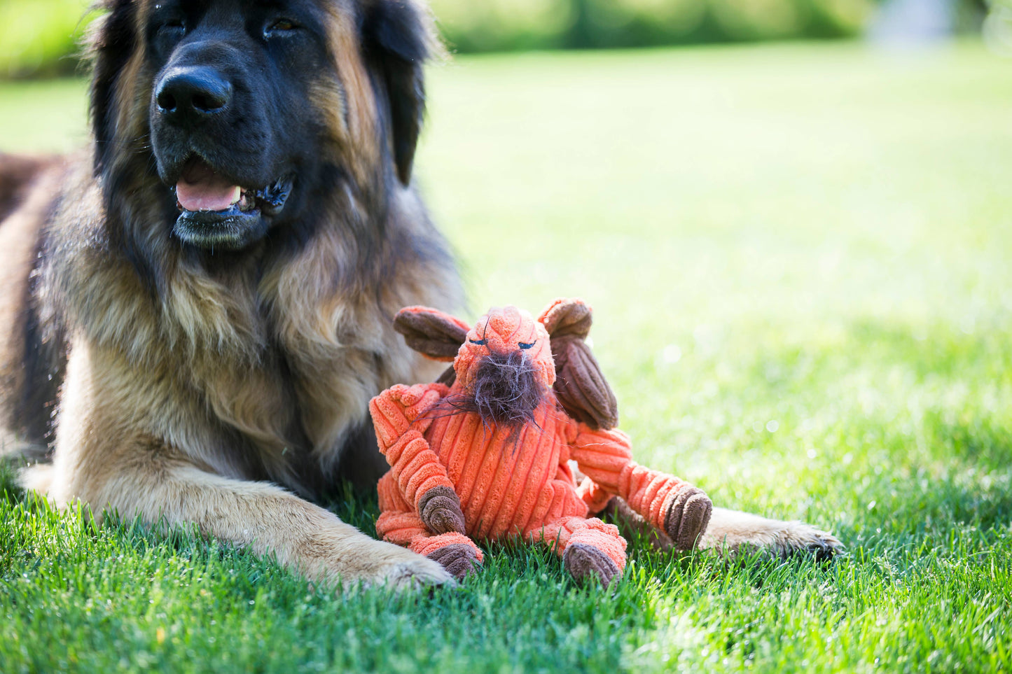 Morris Moose Knottie® Plush Dog Toy: Large