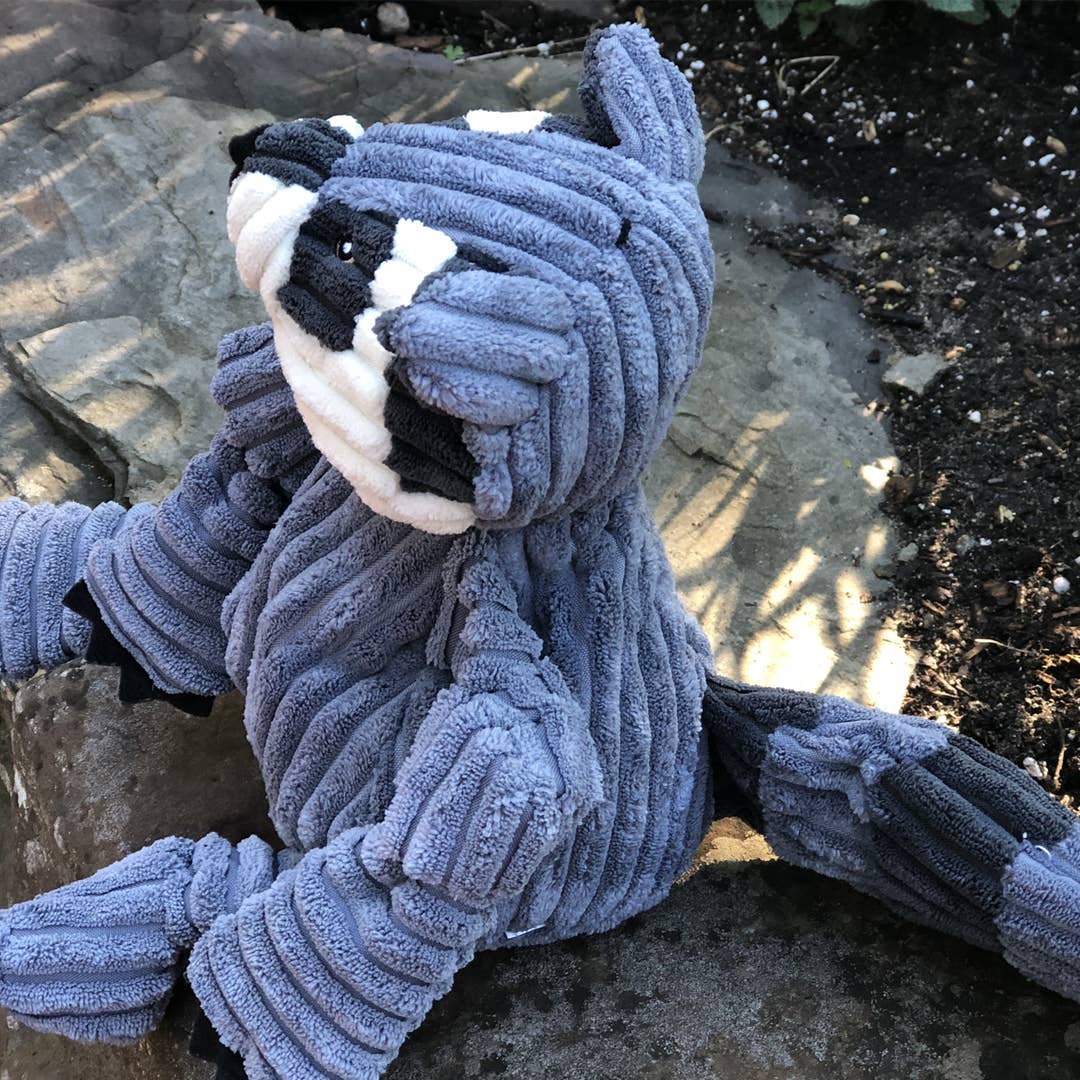 Reggie Raccoon Knottie® Plush Dog Toy: Small