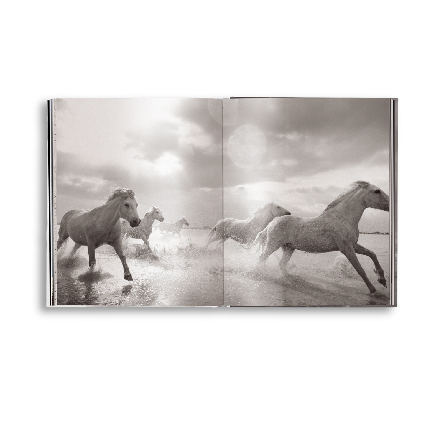 gestalten & teNeues - Untamed Spirits: Horses From Around the World