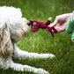 Wee Plush Dog Toy