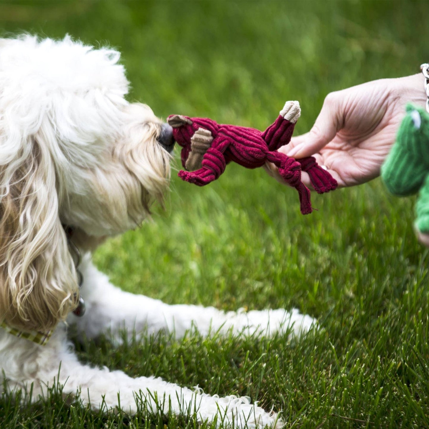 Wee Plush Dog Toy
