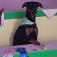 Top Dog Puzzle (1000 Piece)