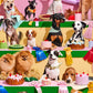 Top Dog Puzzle (1000 Piece)