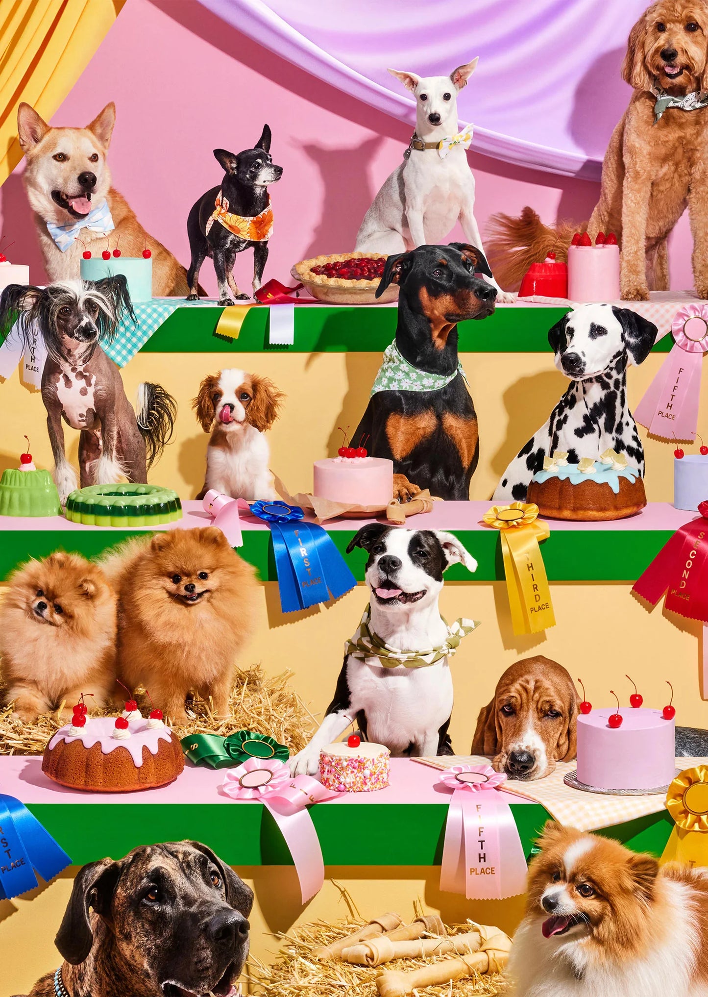 Top Dog Puzzle (1000 Piece)